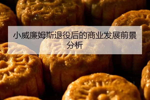 小威廉姆斯退役后的商业发展前景分析